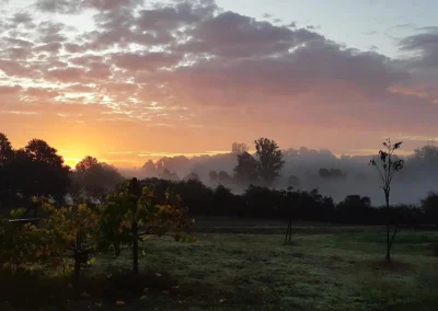 Photo de la vue sur campagne depuis la ferme. Couché de soleil avec brume épaisse qui camoufle les arbres.